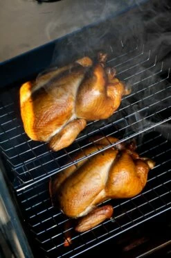 Bradley Digital Smoker 6-Rack / Elektro Räucherofen -Grillfuerst Speichern 13237 Bradley Smoker Gefluegel