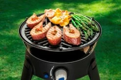 CADAC Camping Gasgrill Safari Chef 30 HP - Kartuschenbetrieb -Grillfuerst Speichern CADAC Safari Chef Grillrost Fisch Gemuese 4