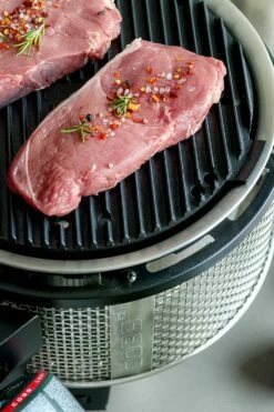 Cobb Grill Premier Gas Deluxe 2.0 - Gasgrill - Kartuschenanschluss - Modell 2023 -Grillfuerst Speichern Cobb Grasgrill Premier Deluxe 2 Griddle Grillplatte