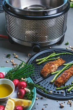 Cobb Grill Premier+ Gas Deluxe Gasgrill 50mbar - Modell 2023 -Grillfuerst Speichern Cobb Grill Premier Plus Gas Deluxe Griddle