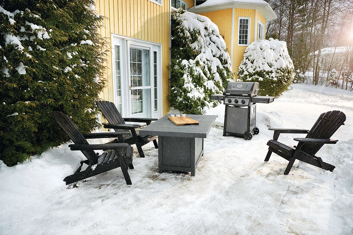 Napoleon Freestyle 365 Gasgrill, Graphit - Mit Seitenbrenner - Modell 2023 22 Napoleon Freestyle 365 Gasgrill, Graphit - Mit Seitenbrenner - Modell 2023 – Bild 20