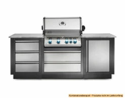 Napoleon Outdoor Küche Oasis Abschluss-Paneele 11 Napoleon Outdoor Küche Oasis Abschluss-Paneele -Grillfuerst Speichern Napoleon Outdoor Kueche Oasis Schubladen Schrank