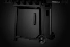 Napoleon Phantom Freestyle 425 Gasgrill, Mattschwarz - Mit Sizzle Zone Und Tür - Modell 2023 25 Napoleon Phantom Freestyle 425 Gasgrill, Mattschwarz - Mit Sizzle Zone Und Tür - Modell 2023 -Grillfuerst Speichern Napoleon Phantom Freestyle F425DSIBPK PHM Detail Compartment