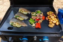 Pit Boss Plancha Grill Ultimate Plancha 2-Brenner - Mit Untergestell -Grillfuerst Speichern Pit Boss Planchagrill 2 Brenner massive Plancha