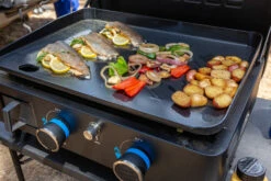 Pit Boss Plancha Grill Ultimate Plancha 2-Brenner - Mit Untergestell -Grillfuerst Speichern Pit Boss Planchagrillen Ultimate Plancha 2 Brenner