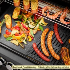 Rösle Gasgrill Magnum PRO G4-S - Modell 2023 -Grillfuerst Speichern Roesle Magnum Pro G4 S Grillflaeche 3