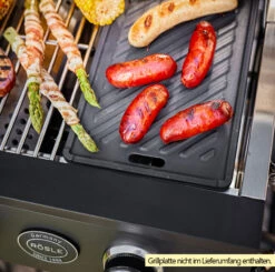 Rösle Gasgrill Videro Pro G2-P Campinggrill -Grillfuerst Speichern Roesle Videro PRO G2 P Gasgrill Beispiel mit Grillplatte