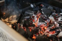 Napoleon Holzkohleneinsatz Für Gasgrills -Grillfuerst Speichern napoleon holzkohleeinsatz glut detail 67731