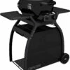 Outdoorchef Gas Kugelgrill Compactchef 480 G 1 Outdoorchef Gas Kugelgrill Compactchef 480 G -Grillfuerst Speichern outdoorchef p 480 g compactchef 18 128 10
