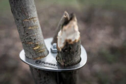 Petromax Dreibein-Ring -Grillfuerst Speichern petromax dreibeinring detail d ring