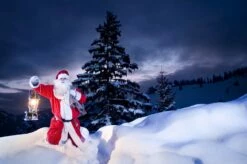 Petromax Petroleumlampe HK500/829 Chrom 39 Petromax Petroleumlampe HK500/829 Chrom -Grillfuerst Speichern petromax starklichtlampe hk500 px5c 20